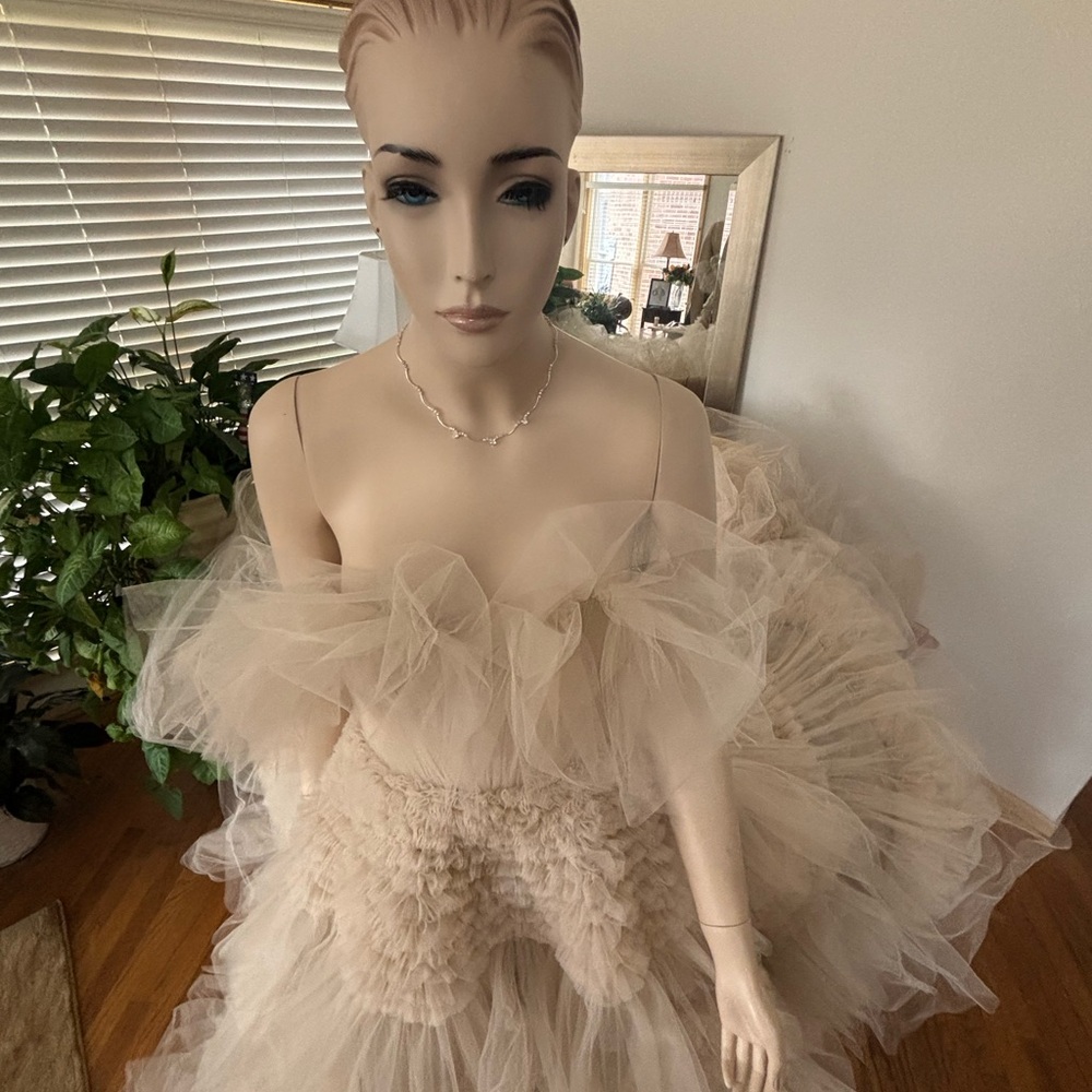 Elegant Cream Tulle Gown

Zuhair MuradRuffled Tulle Wedding Dress Size 8 - Picture 5 of 16